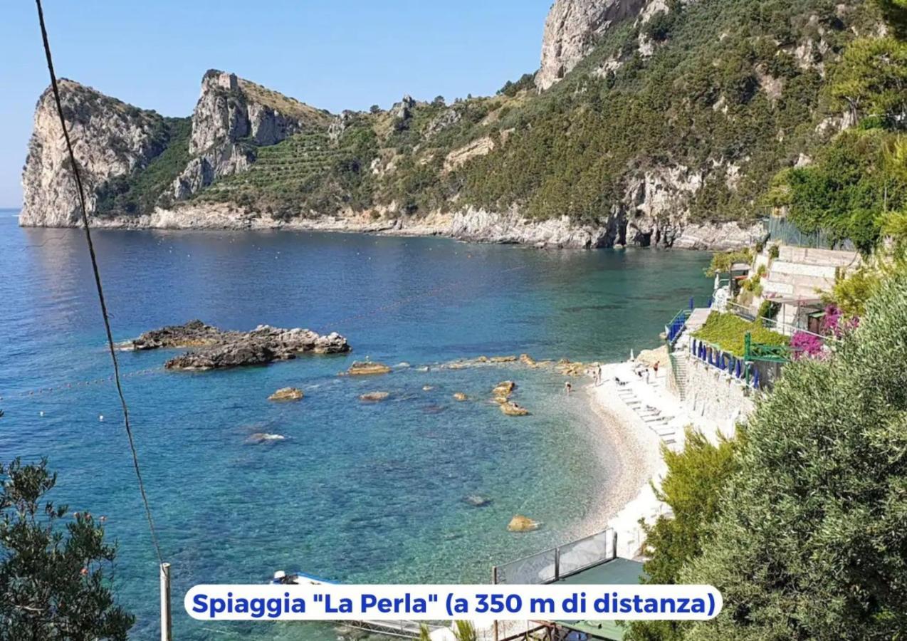 Siren Land - Marina Del Cantone Nerano Exteriör bild